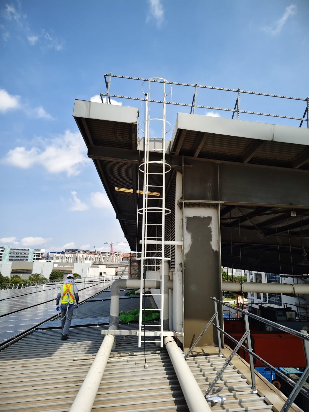 Completed ancillary building cat ladder add-on at Buroh Street viewed from the yard, alongside the main cat ladder installation