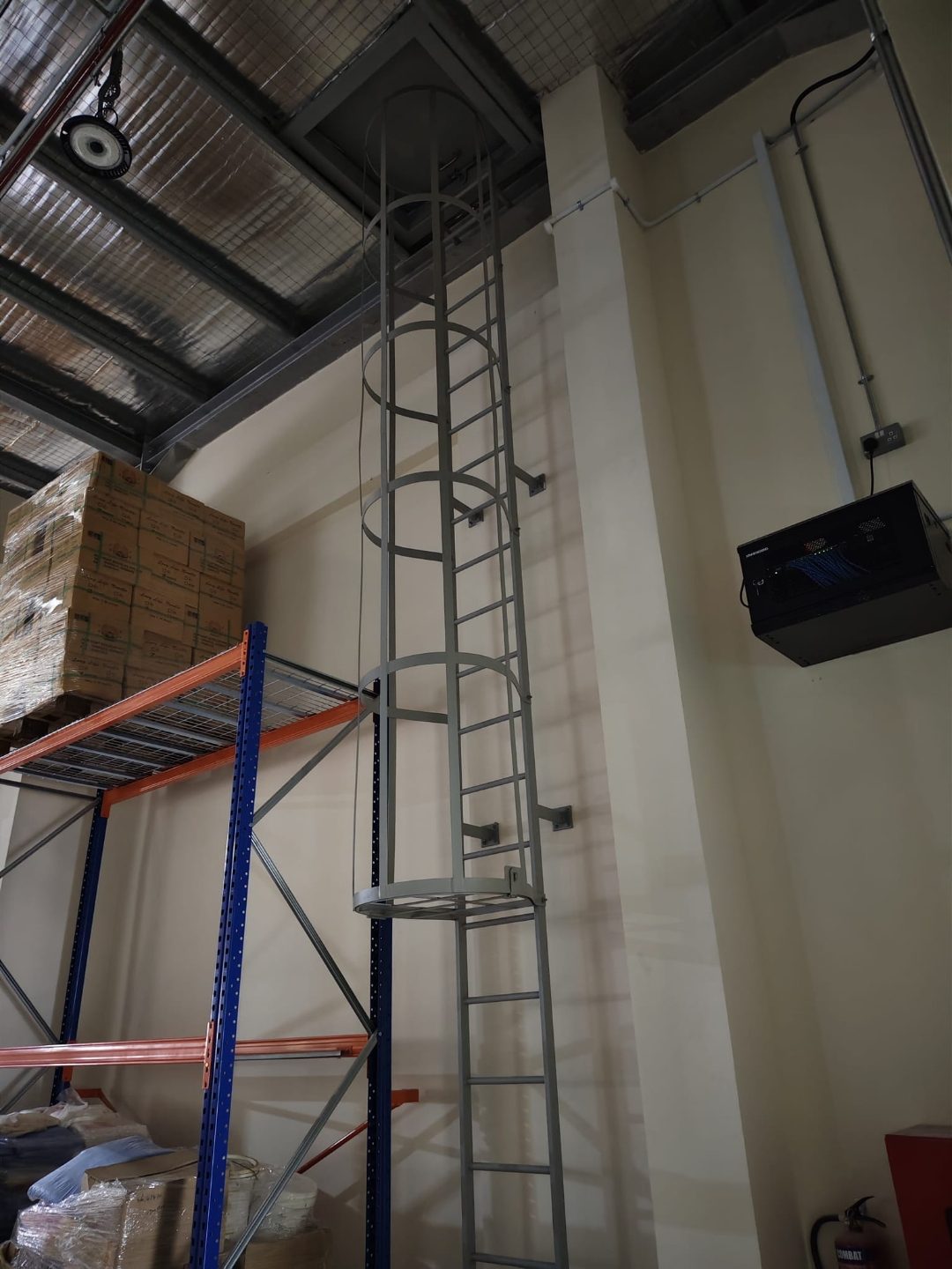Full-height view of the Wan Lee interior cat ladder with hoop cage along the climb